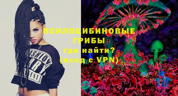 первитин Богородицк