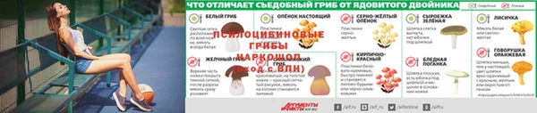 ALPHA PVP Беломорск