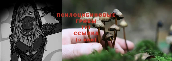 мескалин Богданович
