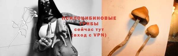 первитин Богородицк