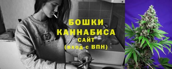 мескалин Богданович