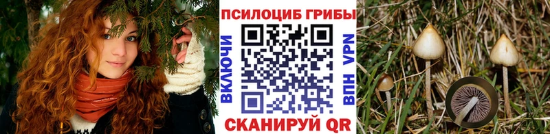 Псилоцибиновые грибы мухоморы  Когалым 